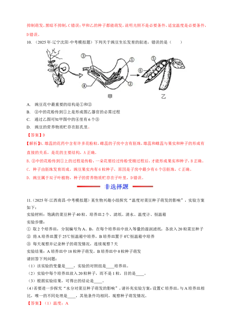 名师导航专题05被子植物的一生--2026年中考生物一轮复习学案（解析版）_6生物中考复习_2026年中考复习（更新中）_2026年中考生物一轮复习学案（原版卷+解析版）