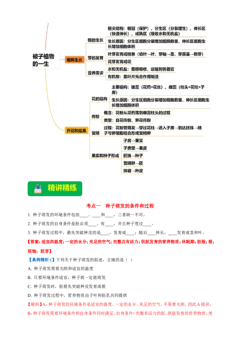 名师导航专题05被子植物的一生--2026年中考生物一轮复习学案（解析版）_6生物中考复习_2026年中考复习（更新中）_2026年中考生物一轮复习学案（原版卷+解析版）
