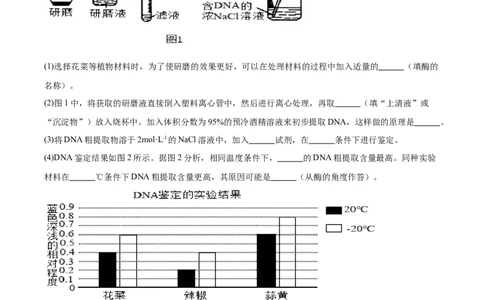 考点通关卷35基因工程（原卷版）_2025年新高考资料_一轮复习_2025年高考生物一轮复习考点通关卷（新高考通用）