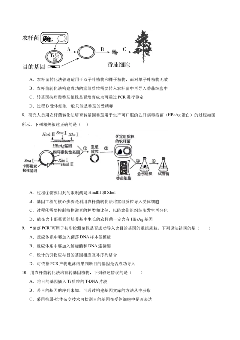 考点通关卷35基因工程（原卷版）_2025年新高考资料_一轮复习_2025年高考生物一轮复习考点通关卷（新高考通用）