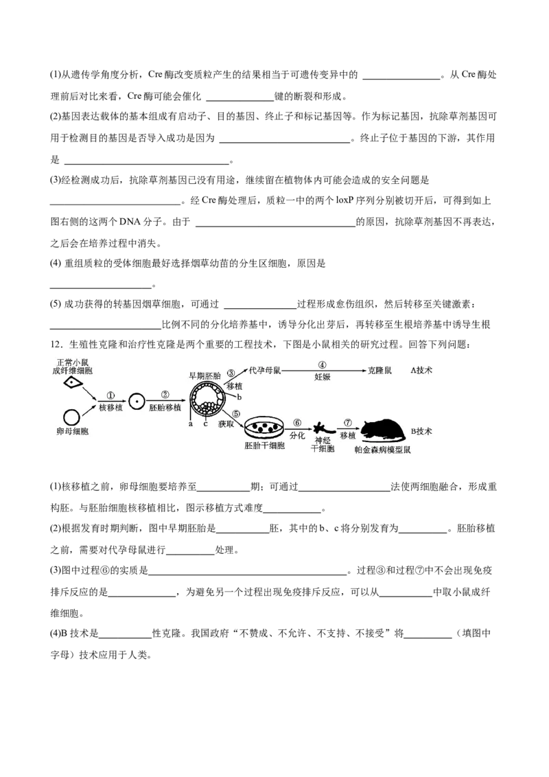 考点通关卷35基因工程（原卷版）_2025年新高考资料_一轮复习_2025年高考生物一轮复习考点通关卷（新高考通用）