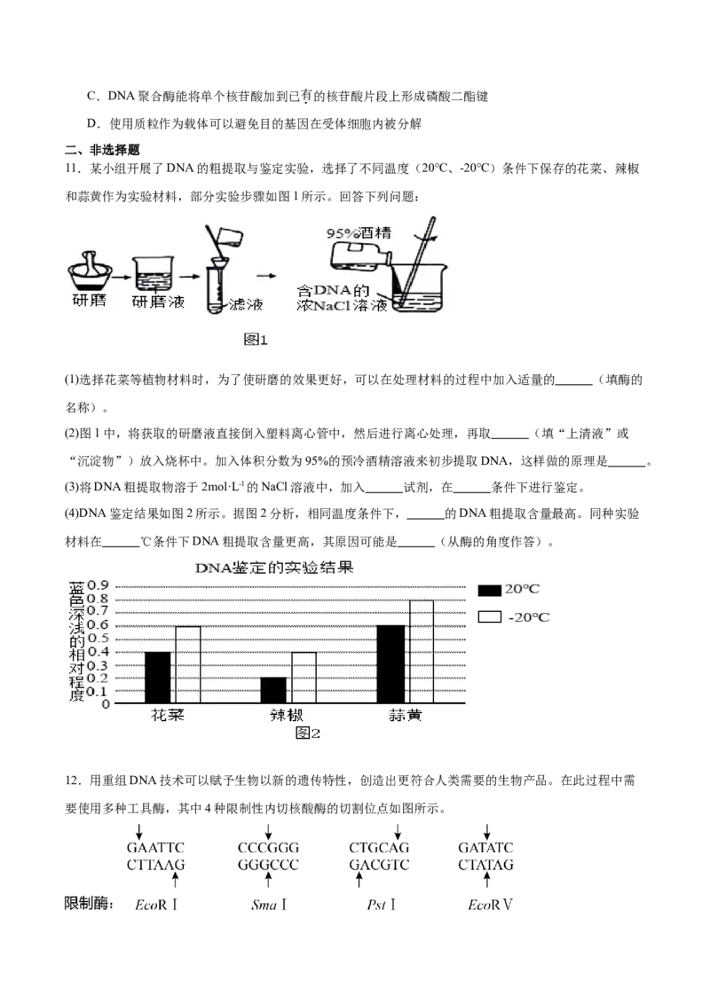 考点通关卷35基因工程（原卷版）_2025年新高考资料_一轮复习_2025年高考生物一轮复习考点通关卷（新高考通用）