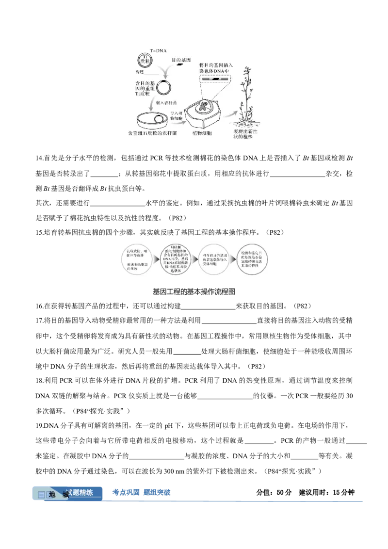 考点通关卷35基因工程（原卷版）_2025年新高考资料_一轮复习_2025年高考生物一轮复习考点通关卷（新高考通用）