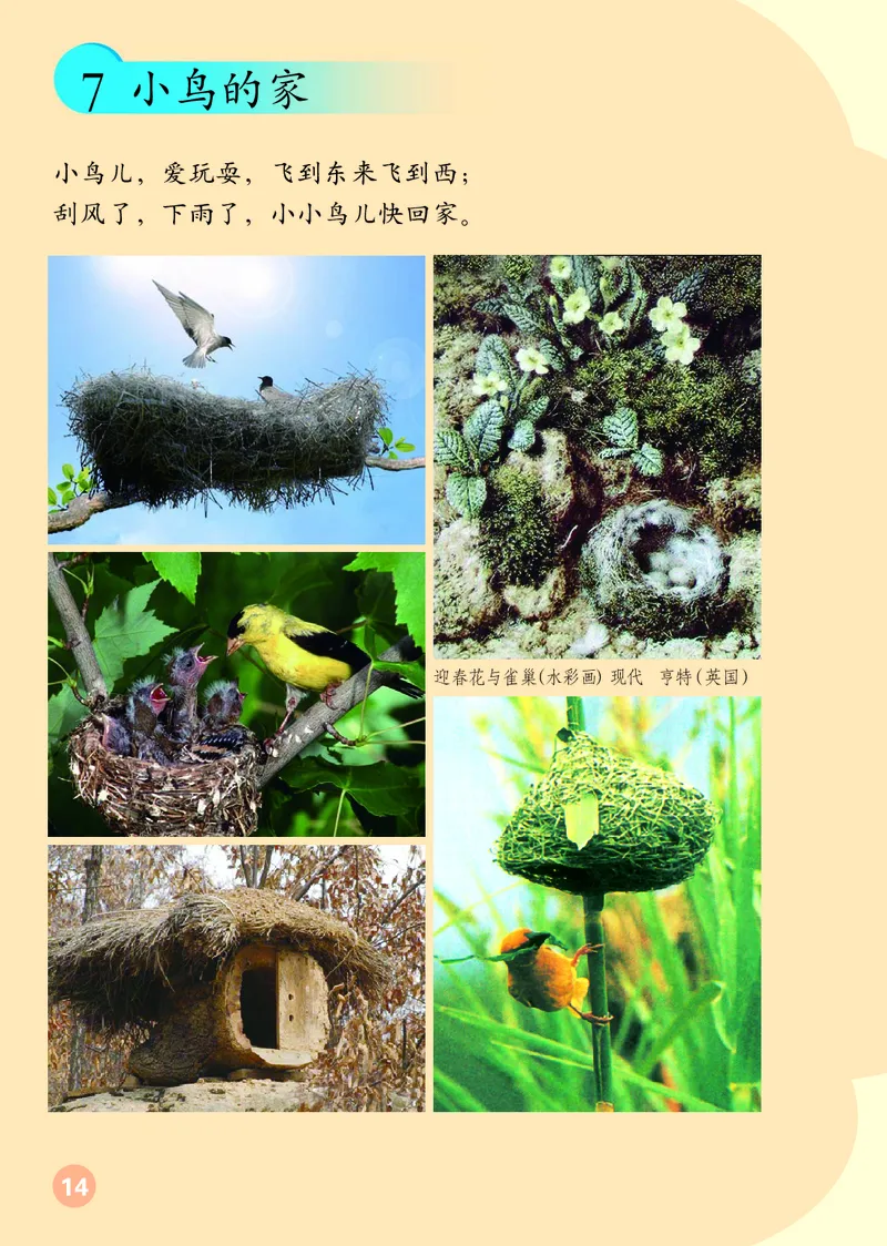 （五四）美术二年级上册_电子课本_小学电子课本_07美术_鲁教版_小学美术鲁教版1-5上册
