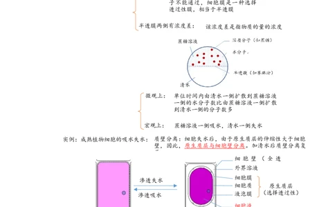 解密03细胞的物质输入和输出（讲义)（教师版）_新高考复习资料_2023年新高考复习资料_二轮复习_高频考点解密2023年高考生物二轮复习讲义+分层训练（全国通用）288808838