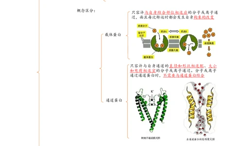 解密03细胞的物质输入和输出（讲义)（教师版）_新高考复习资料_2023年新高考复习资料_二轮复习_高频考点解密2023年高考生物二轮复习讲义+分层训练（全国通用）288808838