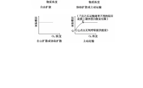 解密03细胞的物质输入和输出（讲义)（教师版）_新高考复习资料_2023年新高考复习资料_二轮复习_高频考点解密2023年高考生物二轮复习讲义+分层训练（全国通用）288808838
