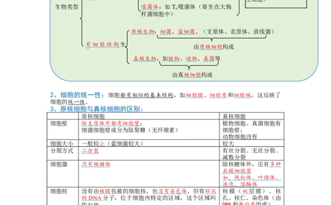 解密02细胞的基本结构（讲义)（教师版）_新高考复习资料_2023年新高考复习资料_二轮复习_高频考点解密2023年高考生物二轮复习讲义+分层训练（全国通用）288808838