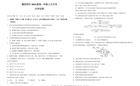 襄阳四中2024级高一年级2月月考化学试题_2025年03月试卷_0314湖北省襄阳市第四中学2024-2025学年高一下学期2月月考