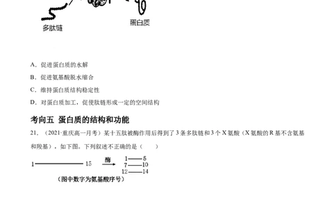 解密01细胞的分子组成和结构（分层训练）（原卷版）_新高考复习资料_2021年新高考资料_高频考点解密2021年高考生物二轮复习讲义+分层训练4.7更新