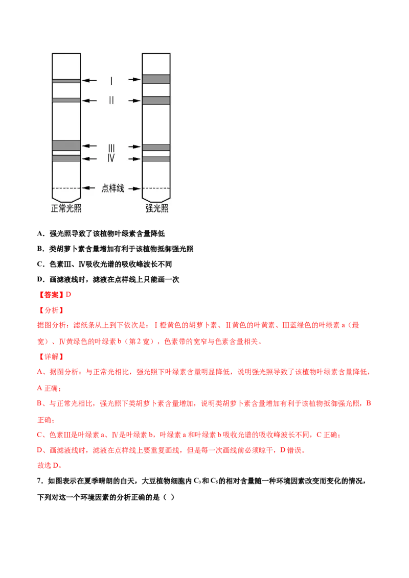 解密06能量之源&mdash;&mdash;光与光合作用（讲义）-高频考点解密2021年高考生物二轮复习讲义+分层训练_新高考复习资料_2021年新高考资料