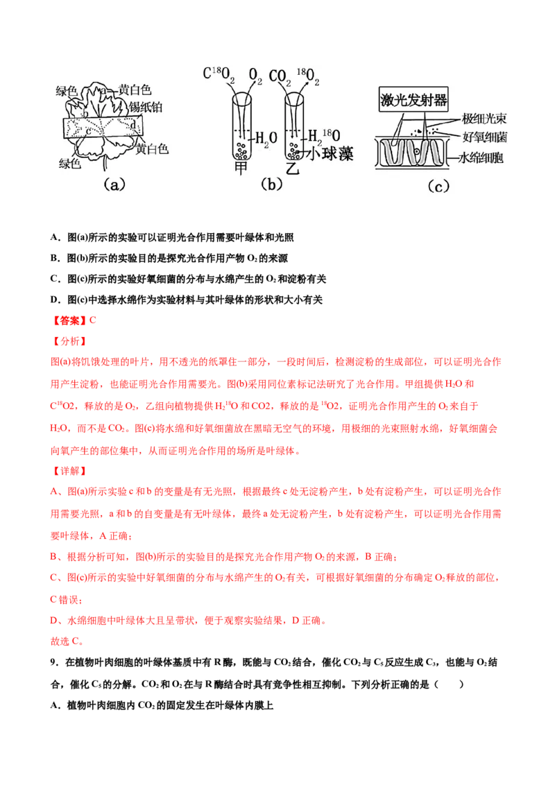 解密06能量之源&mdash;&mdash;光与光合作用（讲义）-高频考点解密2021年高考生物二轮复习讲义+分层训练_新高考复习资料_2021年新高考资料