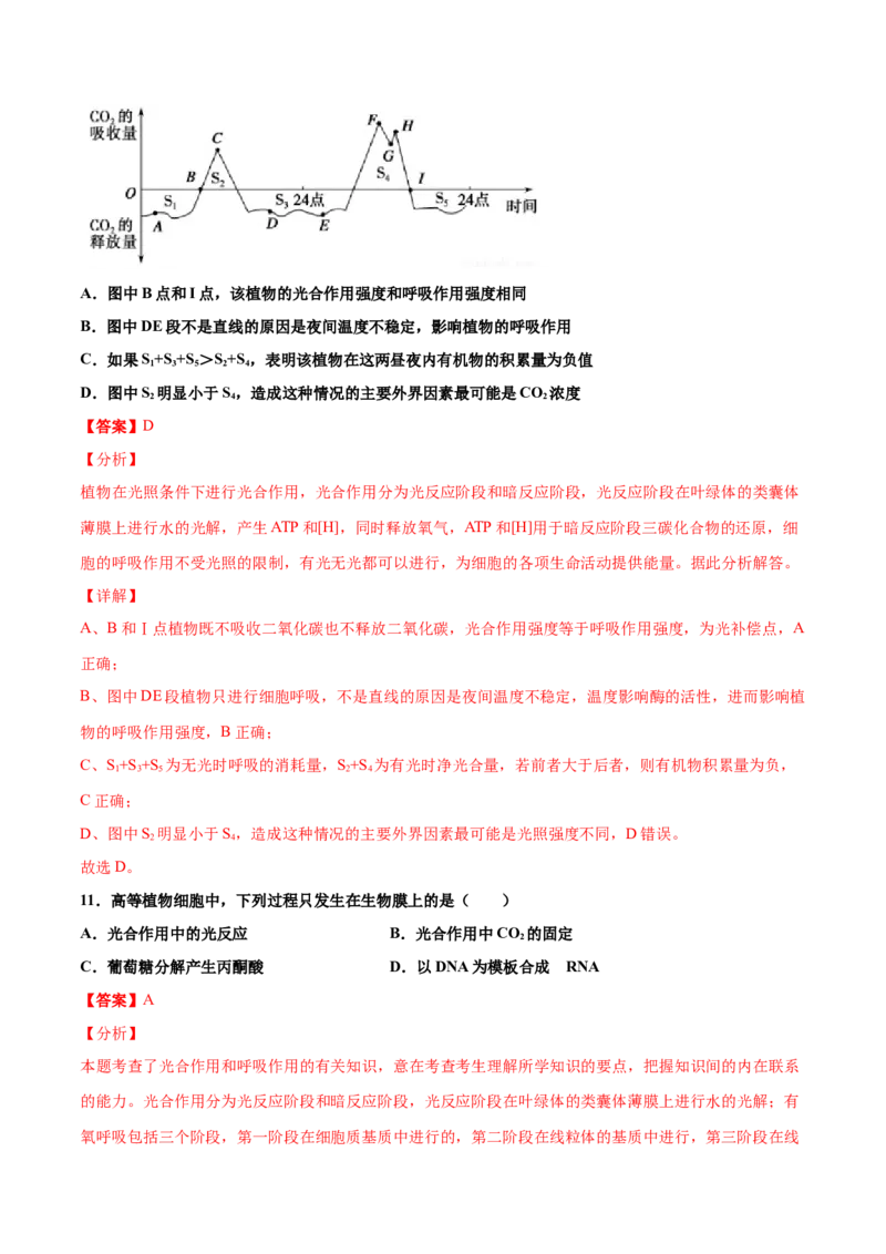 解密06能量之源&mdash;&mdash;光与光合作用（讲义）-高频考点解密2021年高考生物二轮复习讲义+分层训练_新高考复习资料_2021年新高考资料