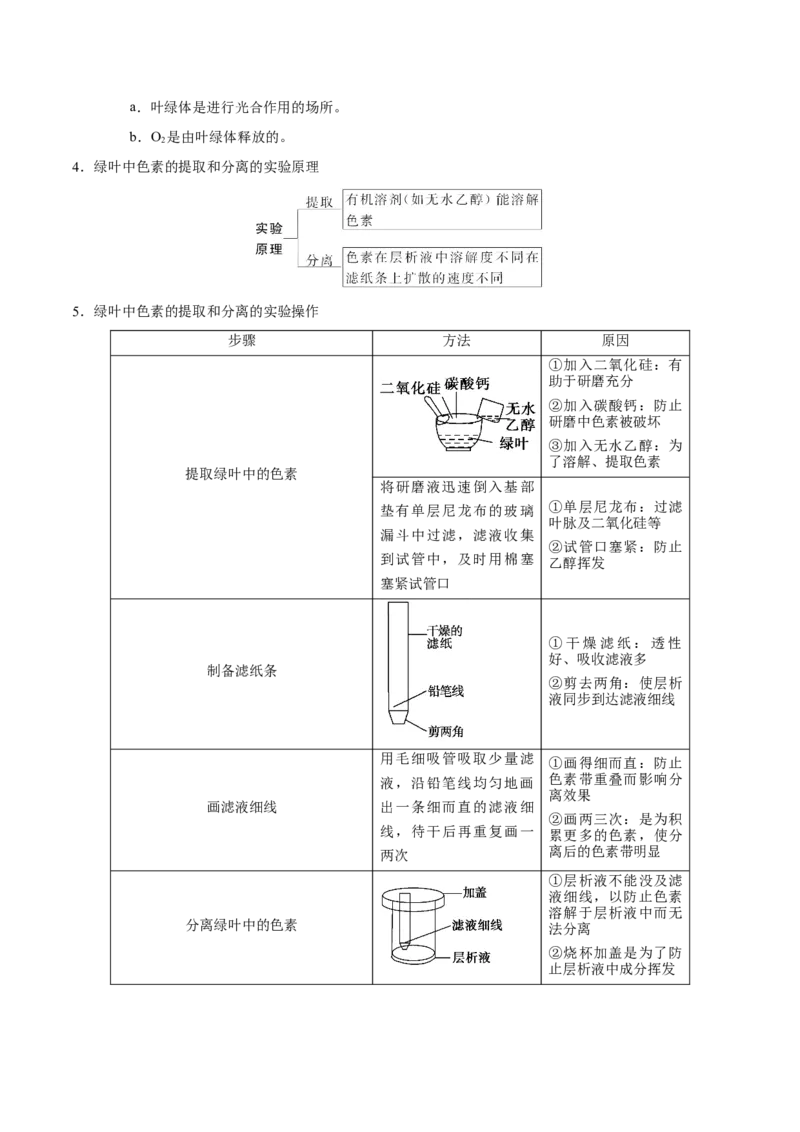 解密06能量之源&mdash;&mdash;光与光合作用（讲义）-高频考点解密2021年高考生物二轮复习讲义+分层训练_新高考复习资料_2021年新高考资料
