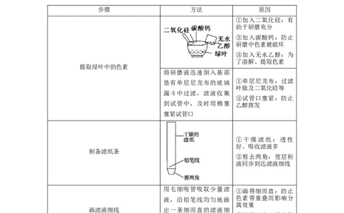 解密06能量之源&mdash;&mdash;光与光合作用（讲义）-高频考点解密2021年高考生物二轮复习讲义+分层训练_新高考复习资料_2021年新高考资料