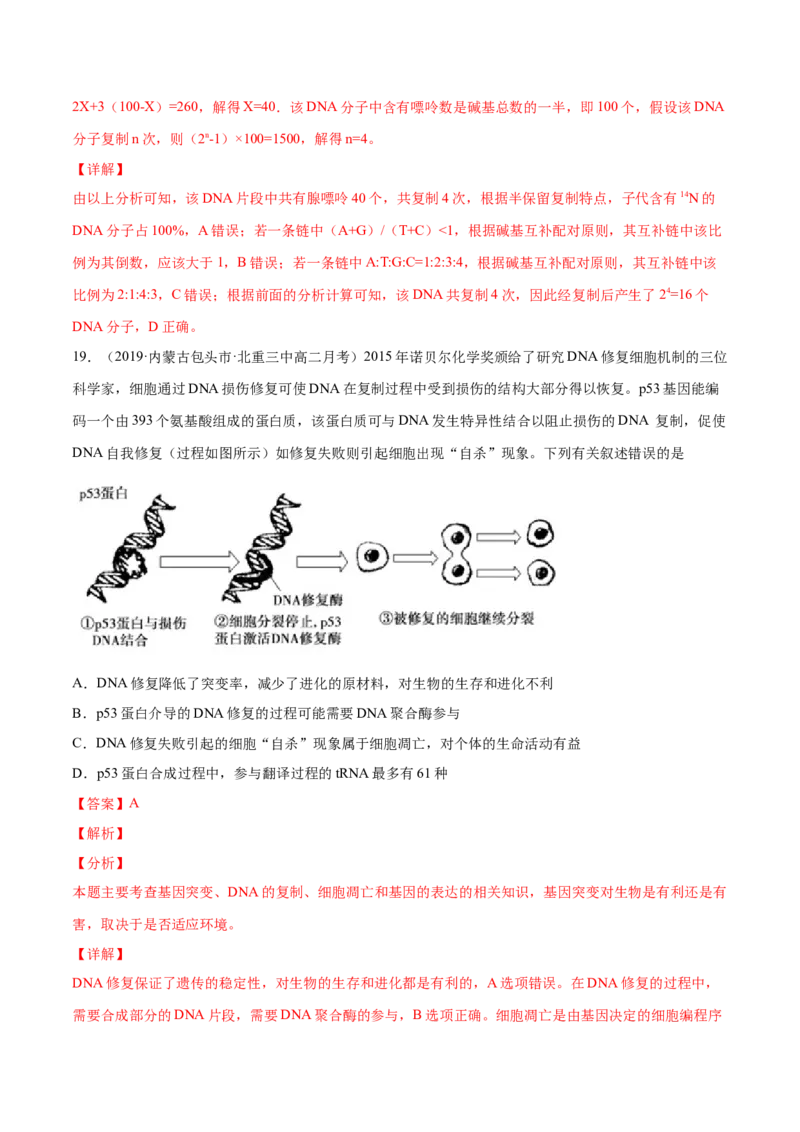 解密10遗传的分子基础（分层训练）（解析版）_新高考复习资料_2021年新高考资料_高频考点解密2021年高考生物二轮复习讲义+分层训练4.7更新