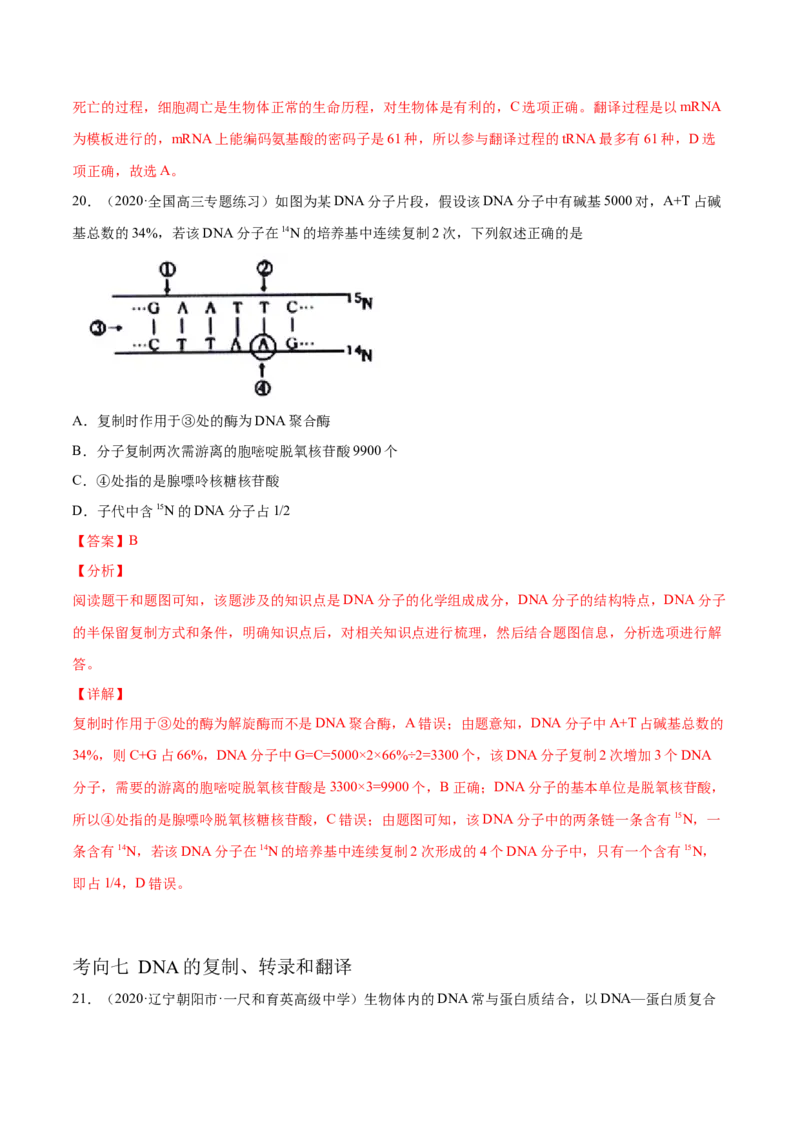 解密10遗传的分子基础（分层训练）（解析版）_新高考复习资料_2021年新高考资料_高频考点解密2021年高考生物二轮复习讲义+分层训练4.7更新