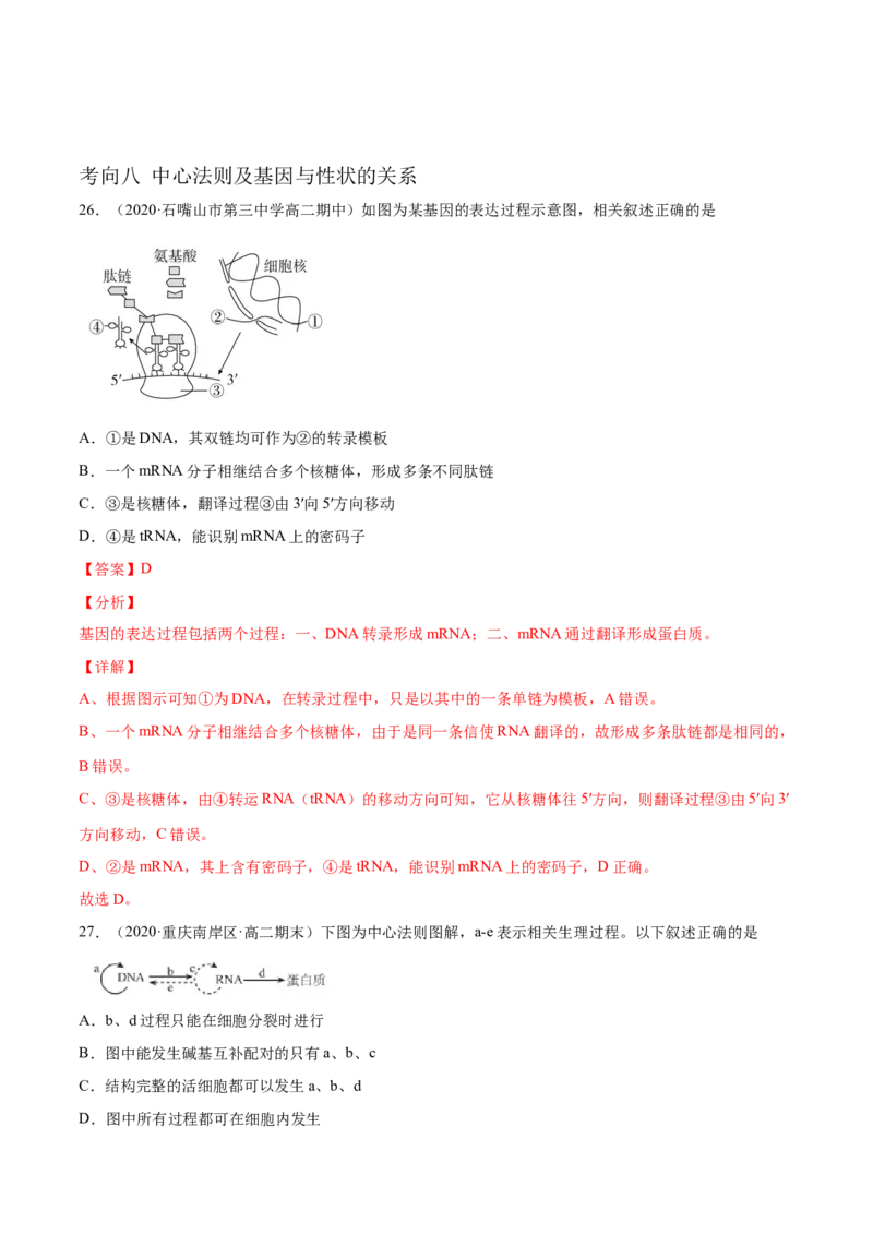 解密10遗传的分子基础（分层训练）（解析版）_新高考复习资料_2021年新高考资料_高频考点解密2021年高考生物二轮复习讲义+分层训练4.7更新