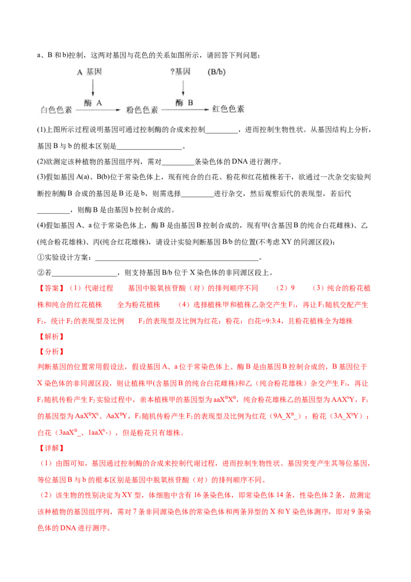 解密10遗传的分子基础（分层训练）（解析版）_新高考复习资料_2021年新高考资料_高频考点解密2021年高考生物二轮复习讲义+分层训练4.7更新