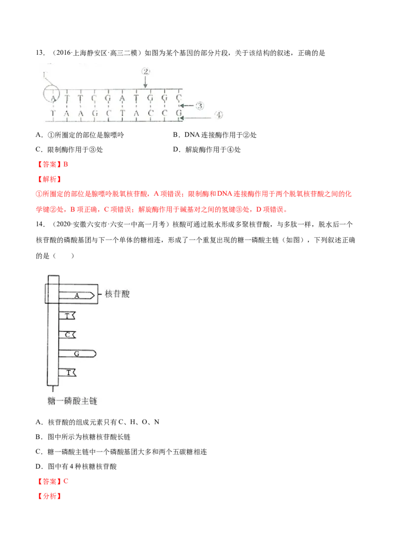 解密10遗传的分子基础（分层训练）（解析版）_新高考复习资料_2021年新高考资料_高频考点解密2021年高考生物二轮复习讲义+分层训练4.7更新