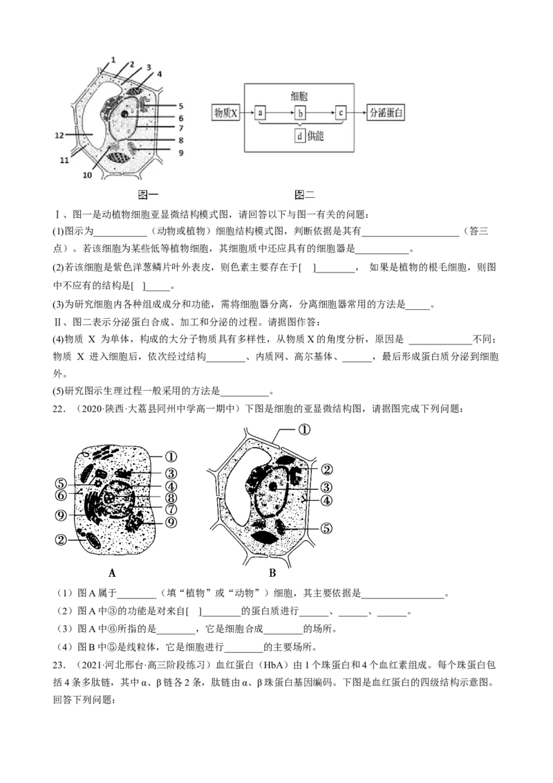 解密02细胞的基本结构（分层训练)（原卷版）_新高考复习资料_2023年新高考复习资料_二轮复习_高频考点解密2023年高考生物二轮复习讲义+分层训练（全国通用）288808838