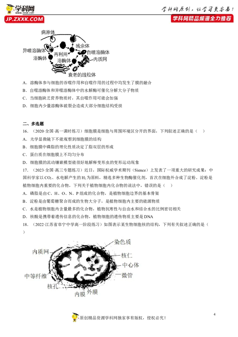 解密02细胞的基本结构（分层训练)（原卷版）_新高考复习资料_2023年新高考复习资料_二轮复习_高频考点解密2023年高考生物二轮复习讲义+分层训练（全国通用）288808838