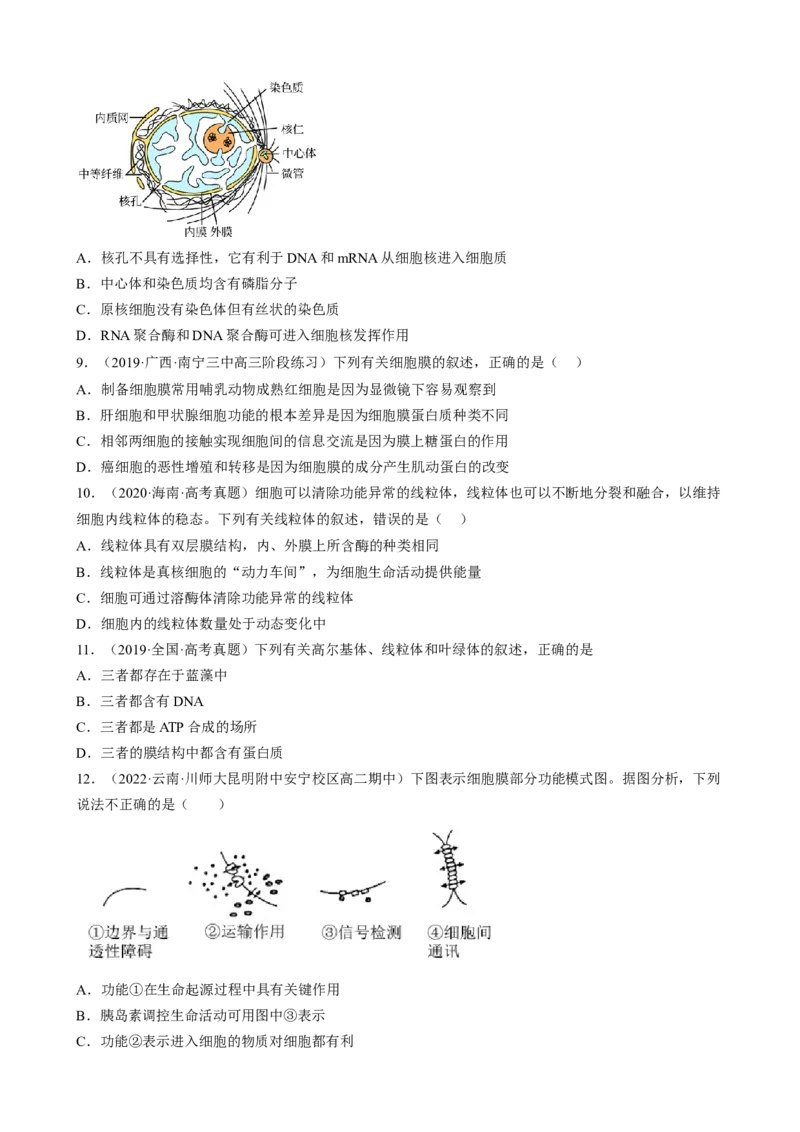 解密02细胞的基本结构（分层训练)（原卷版）_新高考复习资料_2023年新高考复习资料_二轮复习_高频考点解密2023年高考生物二轮复习讲义+分层训练（全国通用）288808838