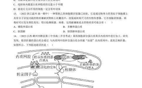 解密02细胞的基本结构（分层训练)（原卷版）_新高考复习资料_2023年新高考复习资料_二轮复习_高频考点解密2023年高考生物二轮复习讲义+分层训练（全国通用）288808838
