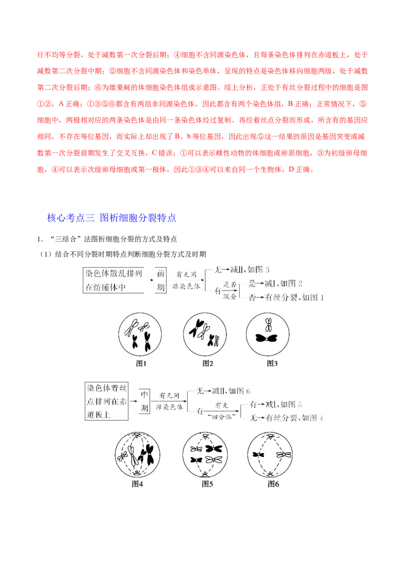 解密08有丝分裂和减数分裂（讲义）-高频考点解密2021年高考生物二轮复习讲义+分层训练_新高考复习资料_2021年新高考资料