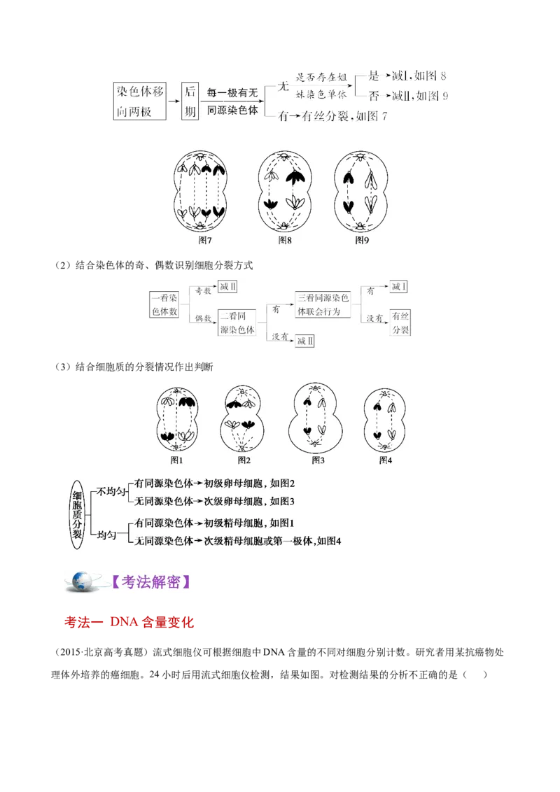 解密08有丝分裂和减数分裂（讲义）-高频考点解密2021年高考生物二轮复习讲义+分层训练_新高考复习资料_2021年新高考资料