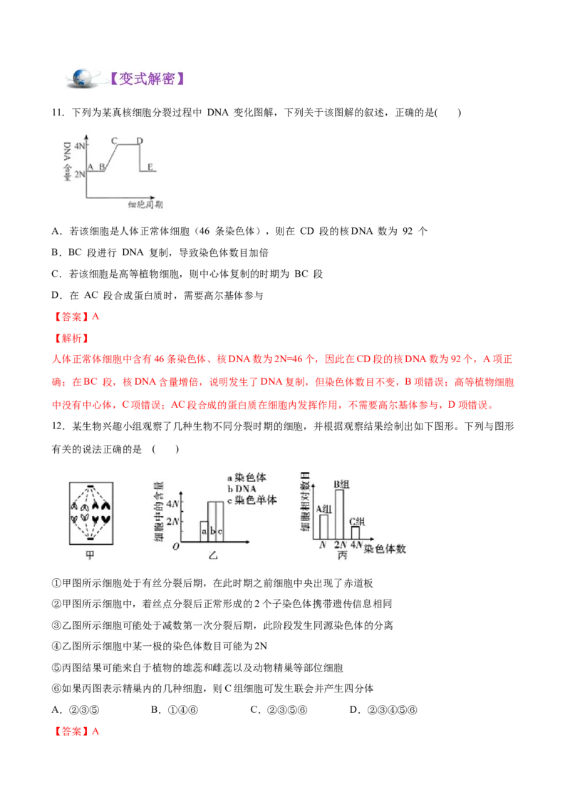 解密08有丝分裂和减数分裂（讲义）-高频考点解密2021年高考生物二轮复习讲义+分层训练_新高考复习资料_2021年新高考资料