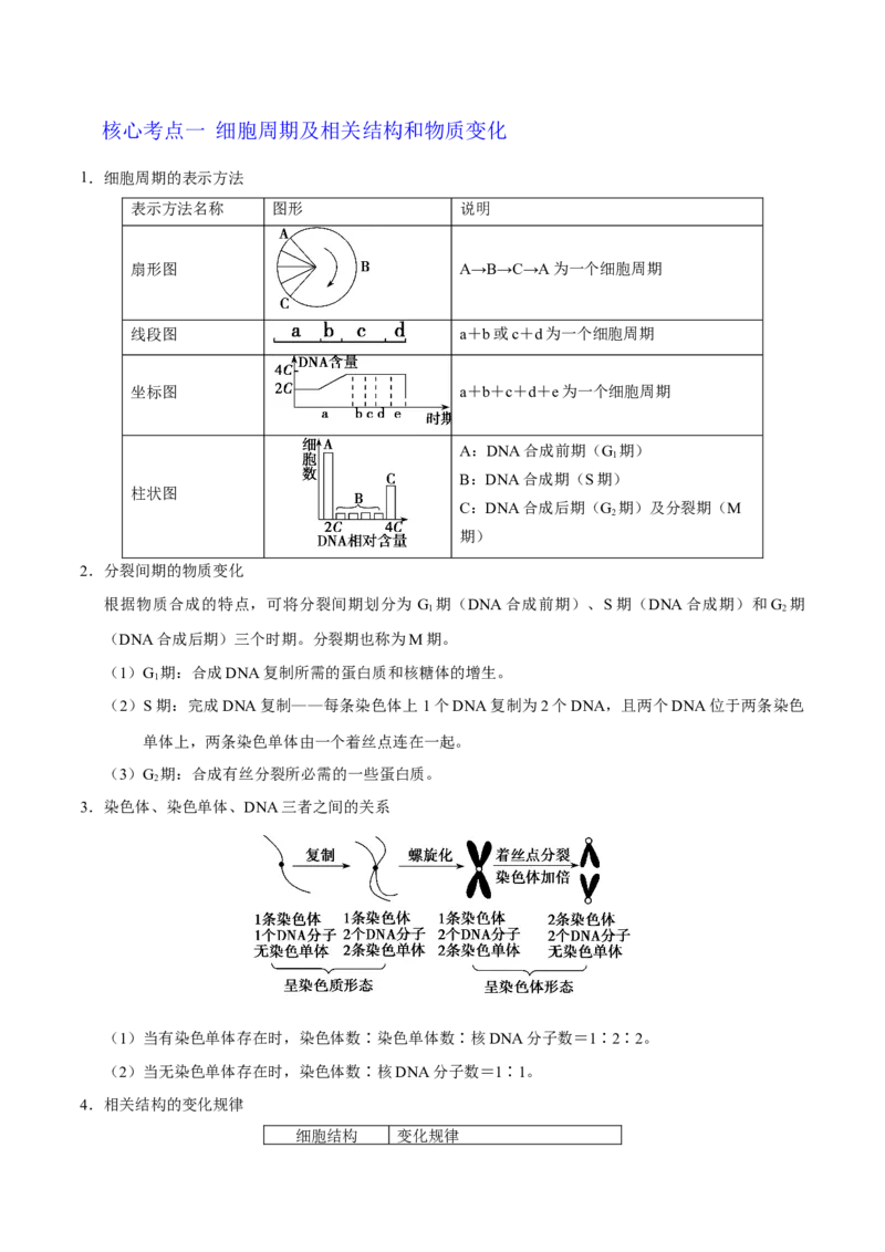 解密08有丝分裂和减数分裂（讲义）-高频考点解密2021年高考生物二轮复习讲义+分层训练_新高考复习资料_2021年新高考资料