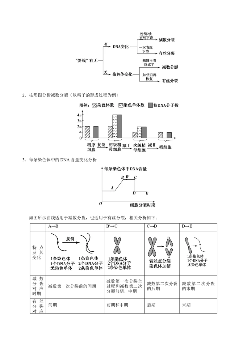 解密08有丝分裂和减数分裂（讲义）-高频考点解密2021年高考生物二轮复习讲义+分层训练_新高考复习资料_2021年新高考资料