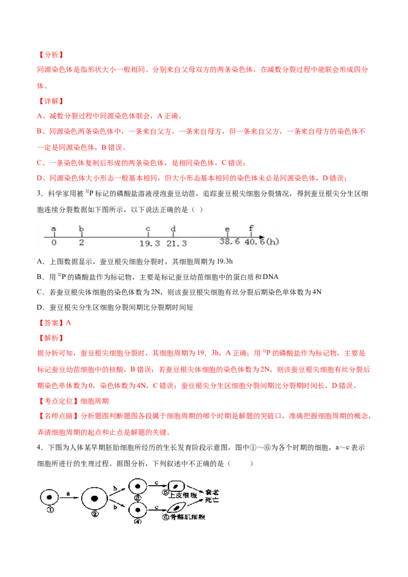 解密08有丝分裂和减数分裂（讲义）-高频考点解密2021年高考生物二轮复习讲义+分层训练_新高考复习资料_2021年新高考资料