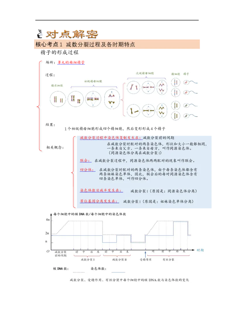 解密07遗传的细胞学基础（讲义)（教师版）_通用版（老高考）复习资料_2023年复习资料_二轮复习_高频考点解密2023年高考生物二轮复习讲义+分层训练（全国通用）