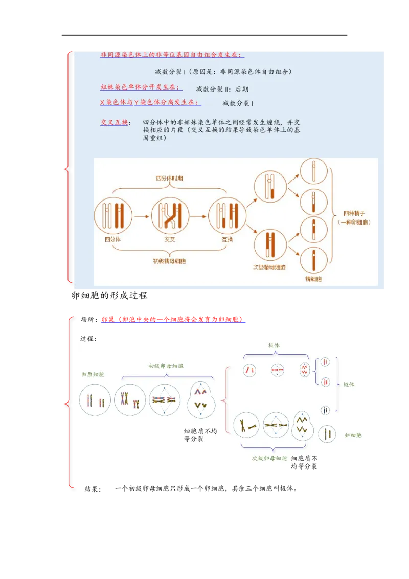 解密07遗传的细胞学基础（讲义)（教师版）_通用版（老高考）复习资料_2023年复习资料_二轮复习_高频考点解密2023年高考生物二轮复习讲义+分层训练（全国通用）