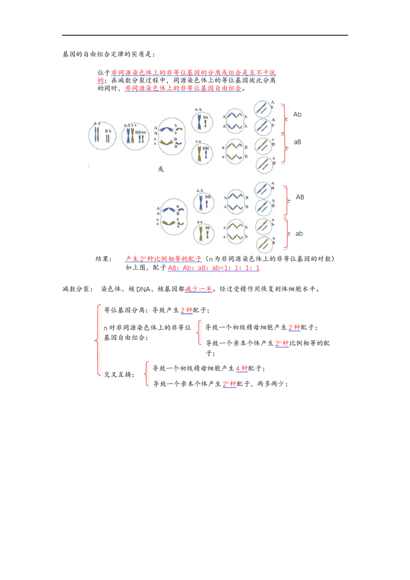解密07遗传的细胞学基础（讲义)（教师版）_通用版（老高考）复习资料_2023年复习资料_二轮复习_高频考点解密2023年高考生物二轮复习讲义+分层训练（全国通用）