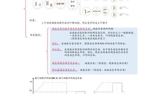 解密07遗传的细胞学基础（讲义)（教师版）_通用版（老高考）复习资料_2023年复习资料_二轮复习_高频考点解密2023年高考生物二轮复习讲义+分层训练（全国通用）