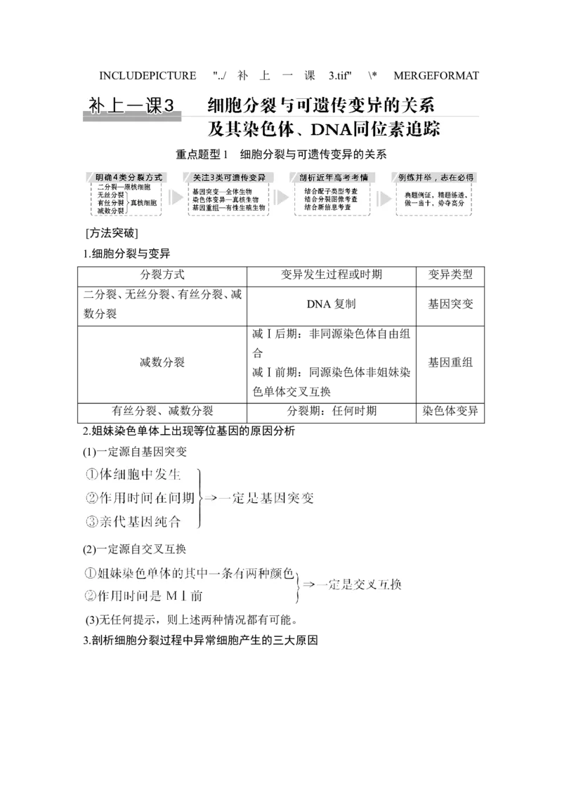 补上一课3细胞分裂与可遗传变异的关系及其染色体、DNA同位素追踪_新高考复习资料_2022年新高考复习资料_2022年一轮复习最新版_1.2022年高考生物一轮复习全国通用版_赠送word习题库