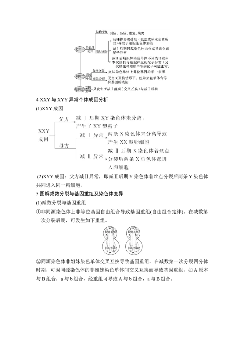 补上一课3细胞分裂与可遗传变异的关系及其染色体、DNA同位素追踪_新高考复习资料_2022年新高考复习资料_2022年一轮复习最新版_1.2022年高考生物一轮复习全国通用版_赠送word习题库