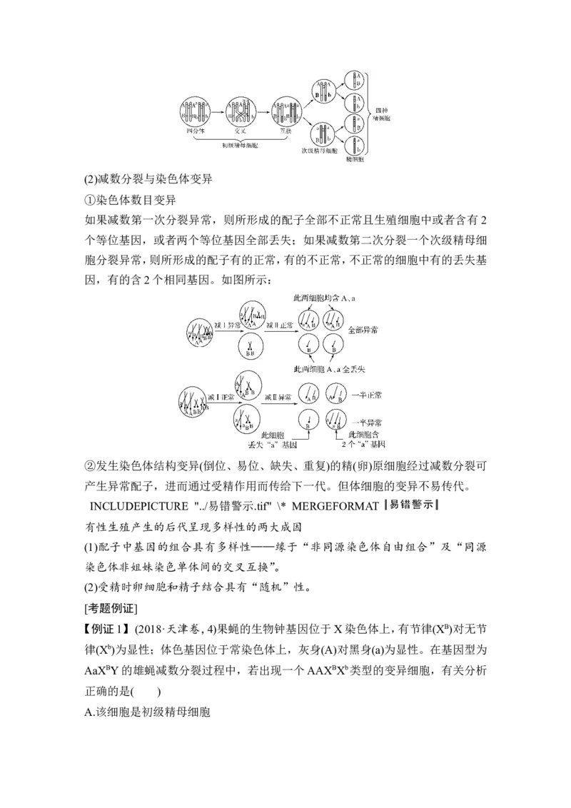 补上一课3细胞分裂与可遗传变异的关系及其染色体、DNA同位素追踪_新高考复习资料_2022年新高考复习资料_2022年一轮复习最新版_1.2022年高考生物一轮复习全国通用版_赠送word习题库