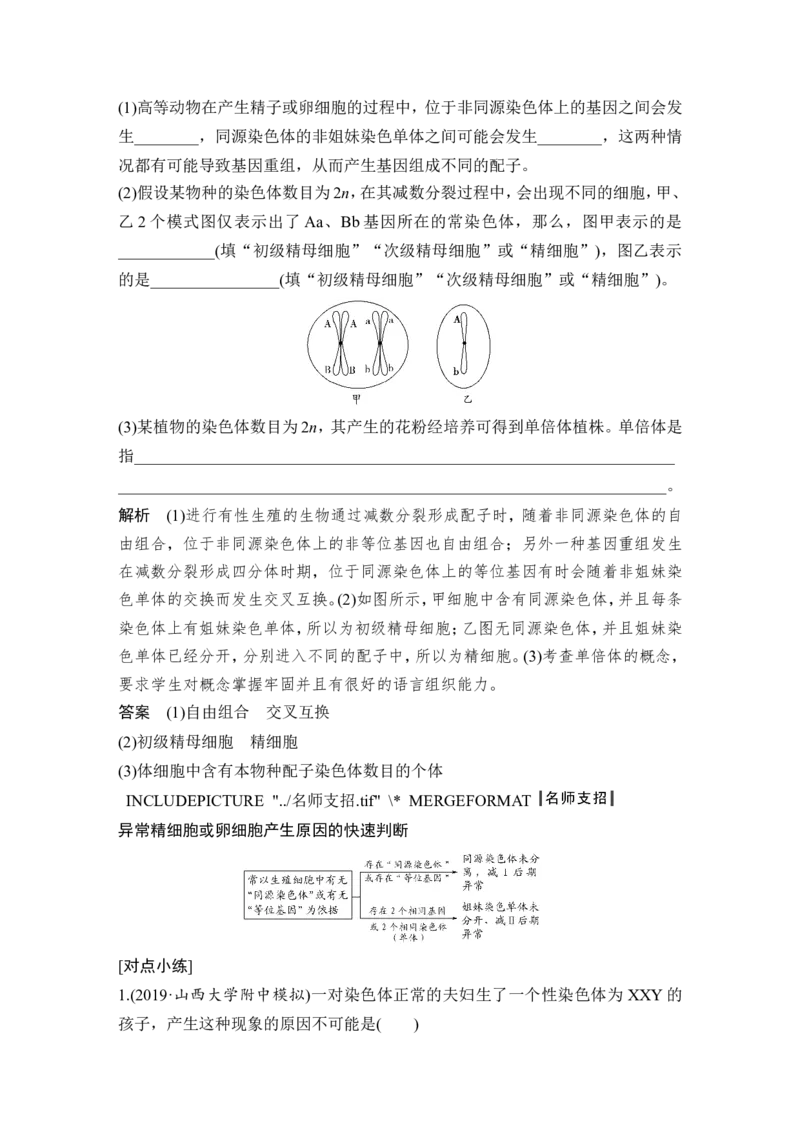补上一课3细胞分裂与可遗传变异的关系及其染色体、DNA同位素追踪_新高考复习资料_2022年新高考复习资料_2022年一轮复习最新版_1.2022年高考生物一轮复习全国通用版_赠送word习题库