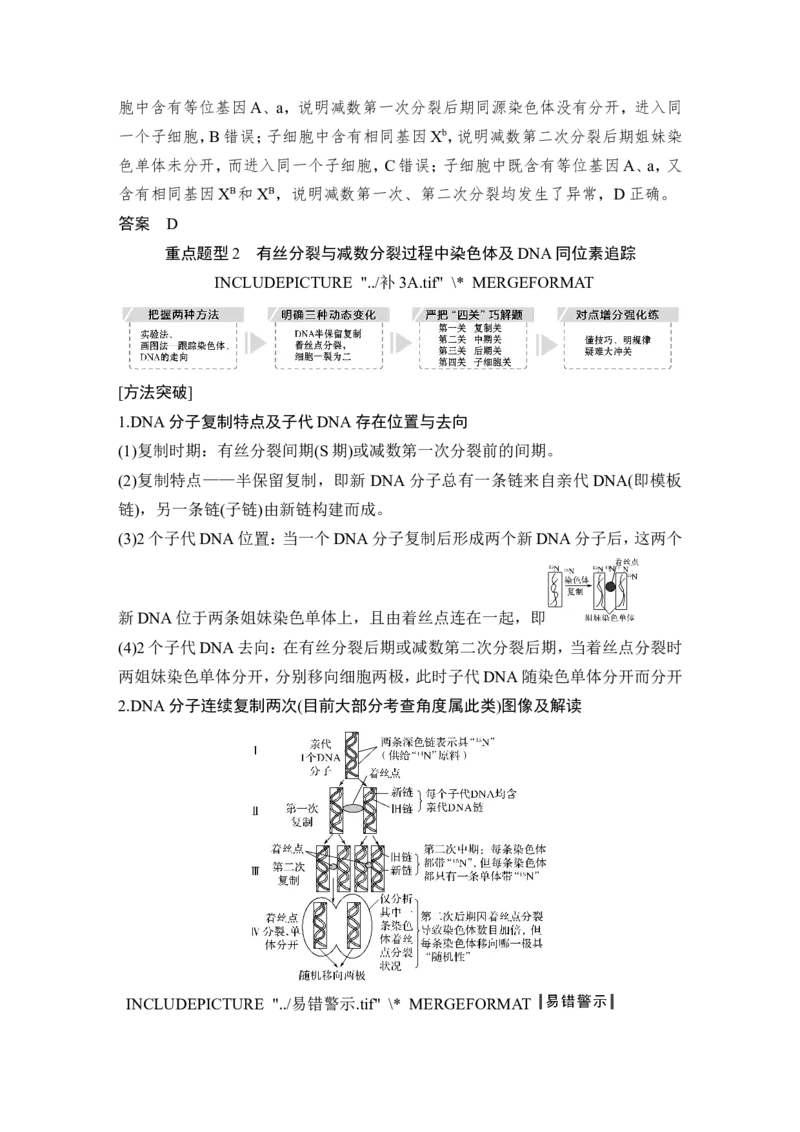 补上一课3细胞分裂与可遗传变异的关系及其染色体、DNA同位素追踪_新高考复习资料_2022年新高考复习资料_2022年一轮复习最新版_1.2022年高考生物一轮复习全国通用版_赠送word习题库