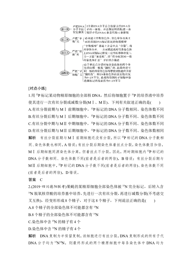 补上一课3细胞分裂与可遗传变异的关系及其染色体、DNA同位素追踪_新高考复习资料_2022年新高考复习资料_2022年一轮复习最新版_1.2022年高考生物一轮复习全国通用版_赠送word习题库