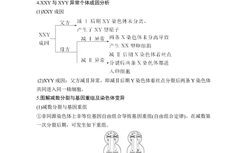 补上一课3细胞分裂与可遗传变异的关系及其染色体、DNA同位素追踪_新高考复习资料_2022年新高考复习资料_2022年一轮复习最新版_1.2022年高考生物一轮复习全国通用版_赠送word习题库