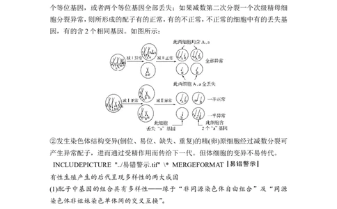 补上一课3细胞分裂与可遗传变异的关系及其染色体、DNA同位素追踪_新高考复习资料_2022年新高考复习资料_2022年一轮复习最新版_1.2022年高考生物一轮复习全国通用版_赠送word习题库
