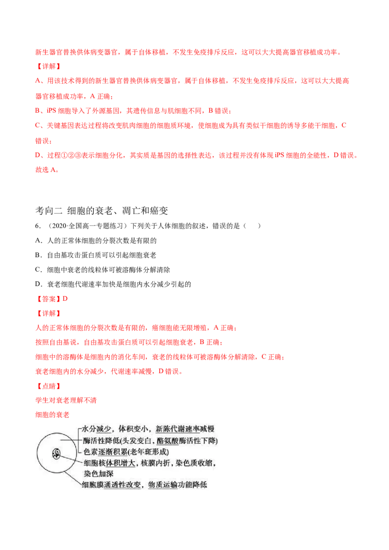解密09细胞的分化、衰老、凋亡及癌变（分层训练）（解析版）_新高考复习资料_2021年新高考资料_高频考点解密2021年高考生物二轮复习讲义+分层训练4.7更新