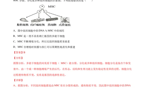 解密09细胞的分化、衰老、凋亡及癌变（分层训练）（解析版）_新高考复习资料_2021年新高考资料_高频考点解密2021年高考生物二轮复习讲义+分层训练4.7更新