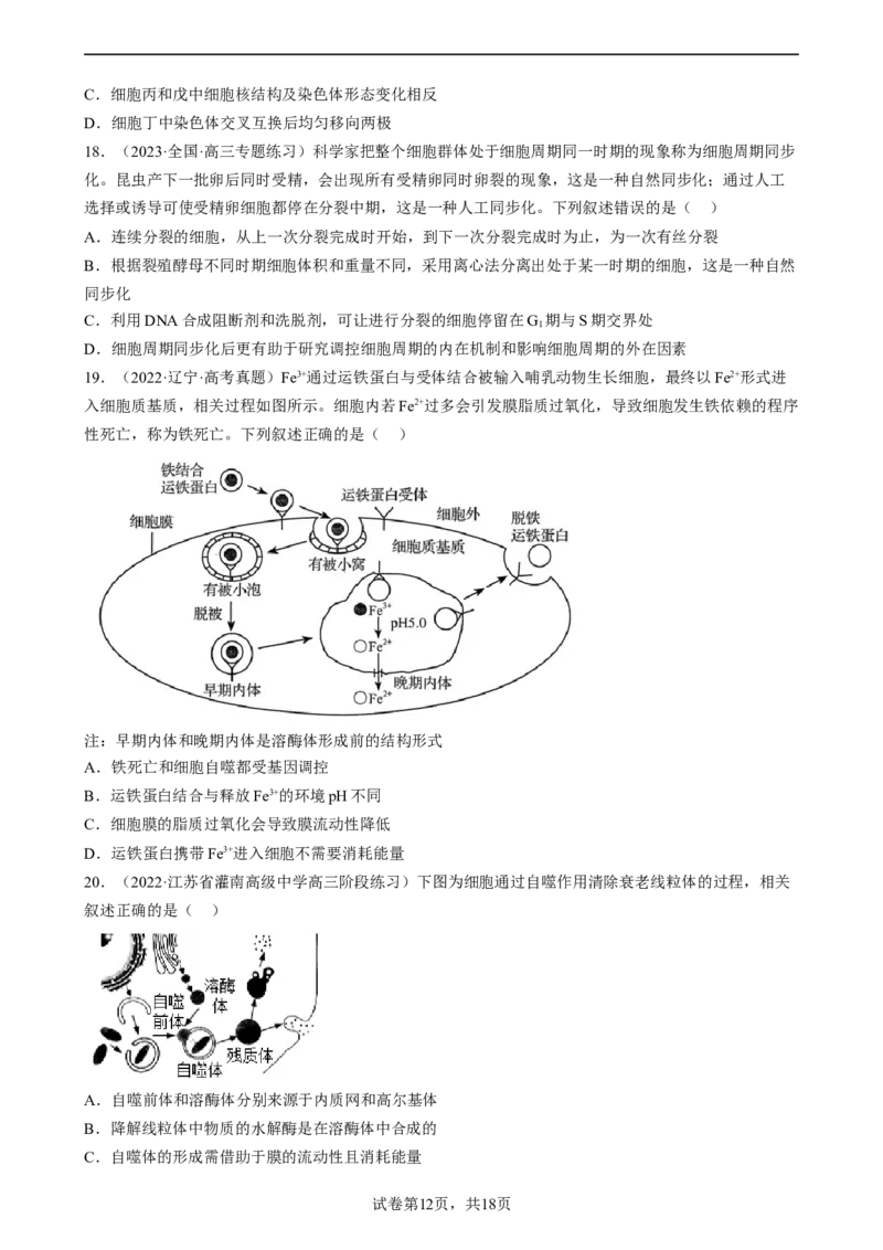 解密05细胞的生命历程（分层训练)（原卷版）_新高考复习资料_2023年新高考复习资料_二轮复习_高频考点解密2023年高考生物二轮复习讲义+分层训练（全国通用）288808838