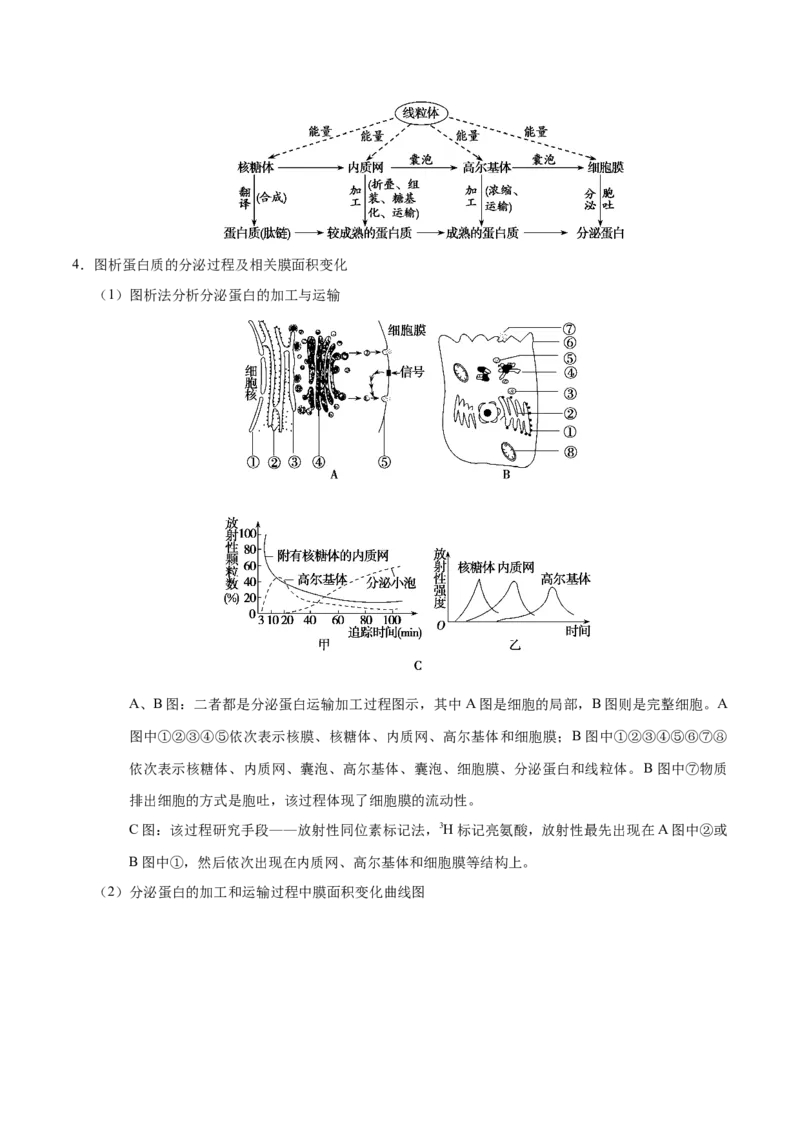 解密02细胞器与生物膜系统（讲义）-高频考点解密2021年高考生物二轮复习讲义+分层训练_新高考复习资料_2021年新高考资料